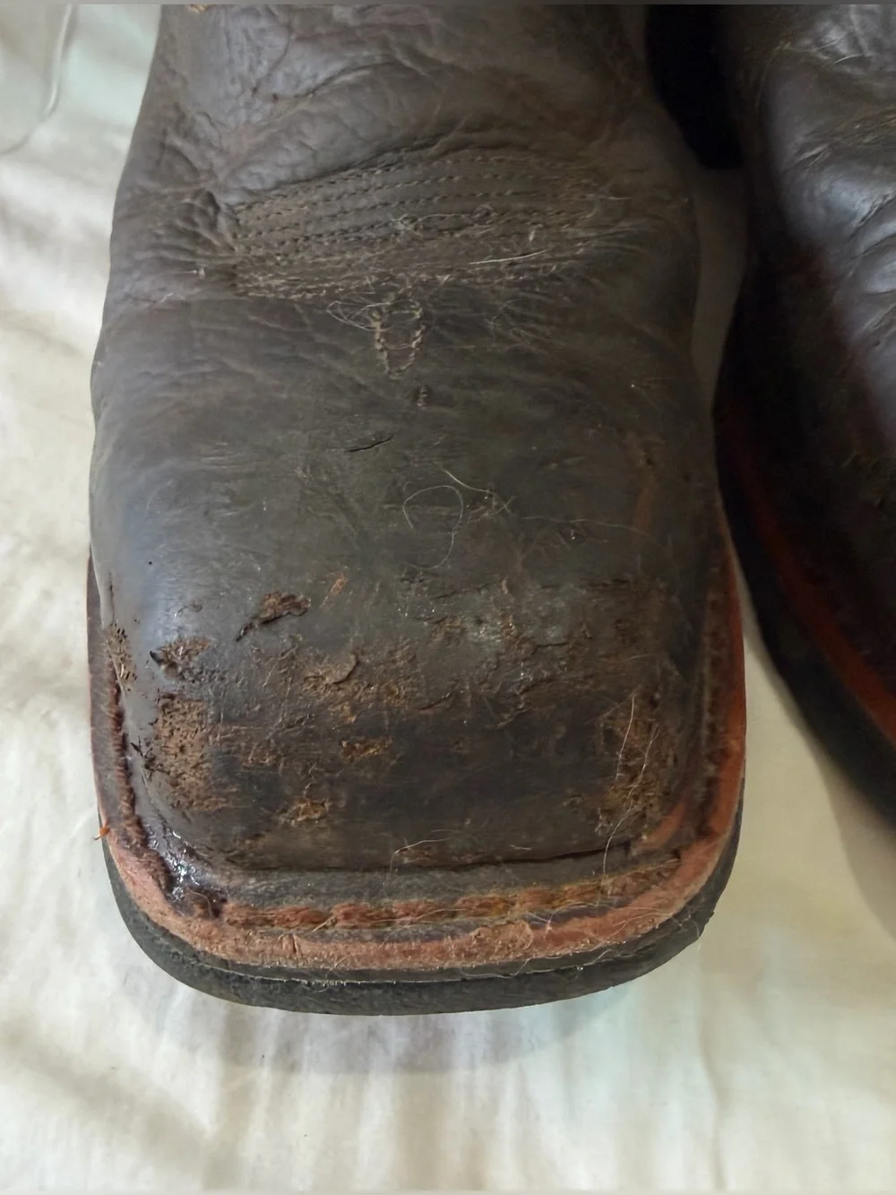 Ariat Men's US 11D WorkHog WP Square Composite Toe Work Boots Brown F2413-18